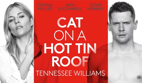 Cat on a Hot Tin Roof hero image