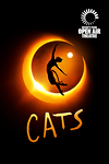 Cats - small