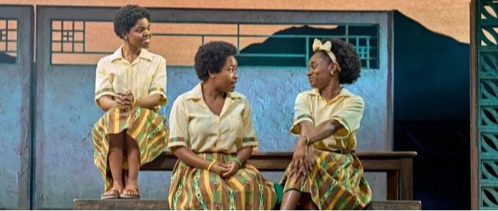 School Girls; Or, The African Mean Girls Play on Broadway New York