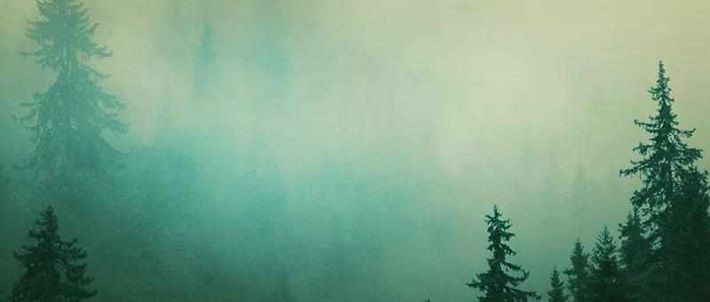 Into The Woods London