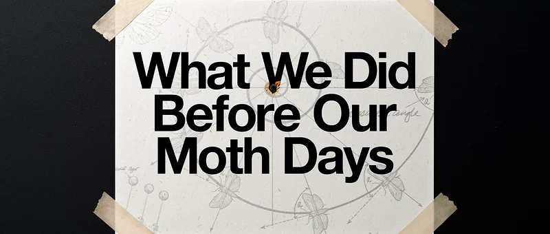 What We Did Before Our Moth Days New York