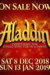 Aladdin: The Pantomime
