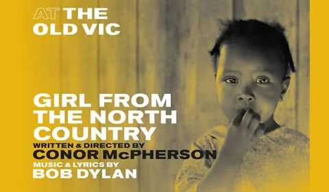 Girl From The North Country hero image