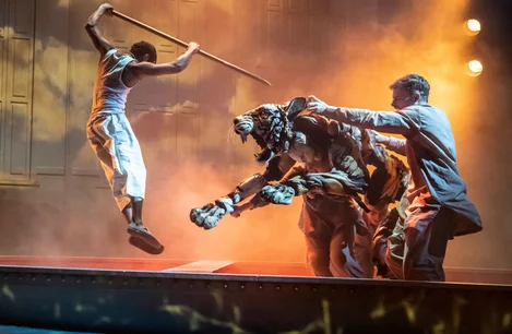 Pi (Hiran Abeysekera) fights the tiger Richard Parker (puppet led by Tom Larkin) in Life of Pi