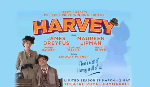 Harvey hero image