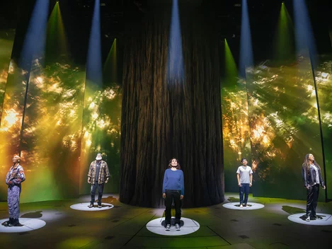 The cast of Redwood the play on Broadway