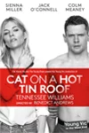 Cat on a Hot Tin Roof