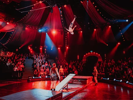 Acrobats perform in Come Alive!