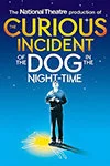 The Curious Incident of the Dog in the Night-Time