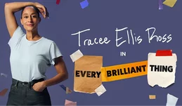 Every Brilliant Thing on Broadway