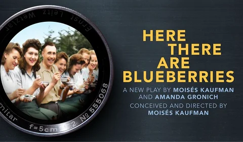 Here There Are Blueberries on Broadway at Barrymore Theatre, New York
