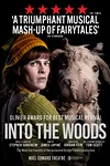 Into The Woods