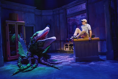Ethan Slater plays Seymour in Little Shop of Horrors