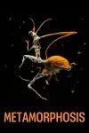 Metamorphosis