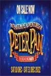 The Pantomime Adventures of Peter Pan