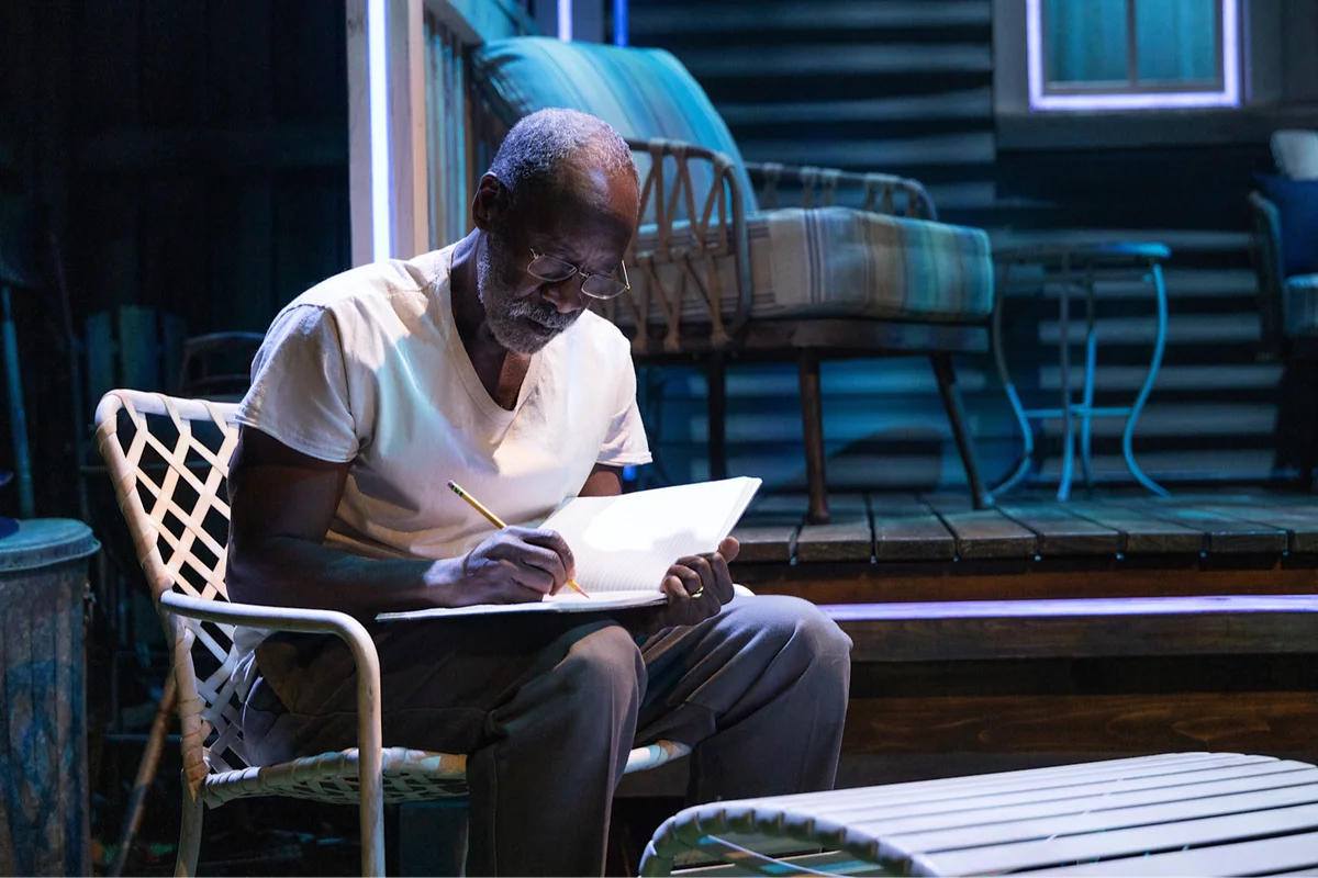 Don Cheadle in Proof on Broadway