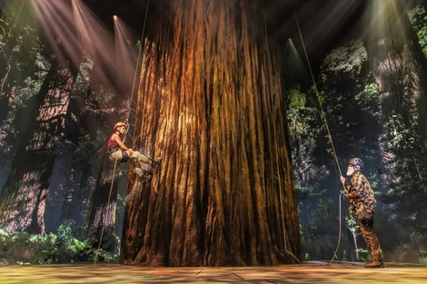 Redwood on Broadway Cast