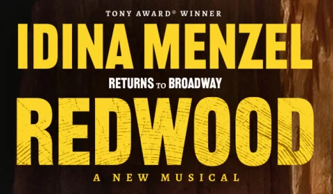 Redwood on Broadway at Nederlander Theatre, New York