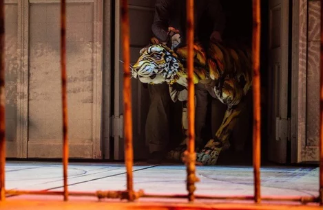The tiger, Richard Parker, in Life of Pi on Broadway