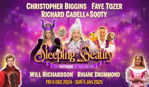 Sleeping Beauty: The Pantomime