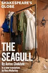 The Seagull