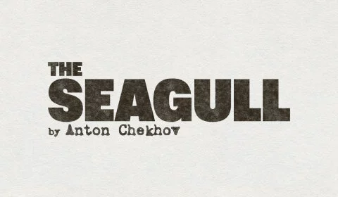 The Seagull