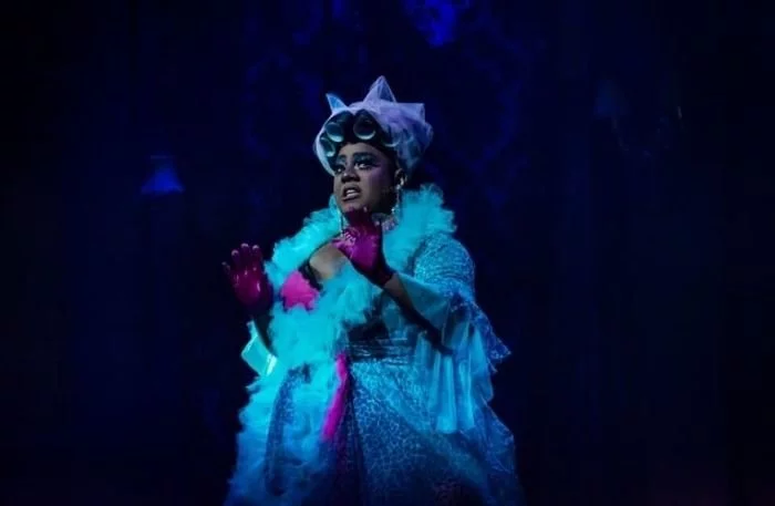 Vinegar Strokes in Death Drop at the Garrick Theatre