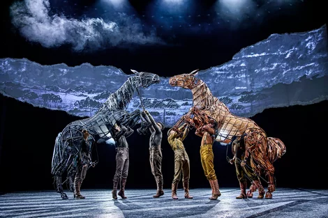 Topthorn and Joey square up in War Horse at the Olivier Theatre