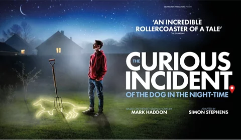 The Curious Incident of the Dog in the Night-Time
