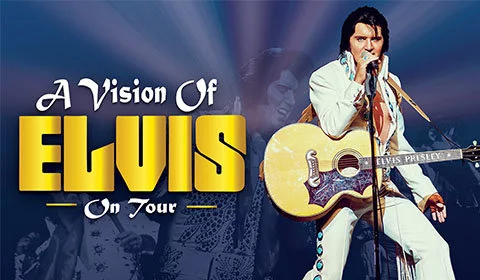 A Vision of Elvis