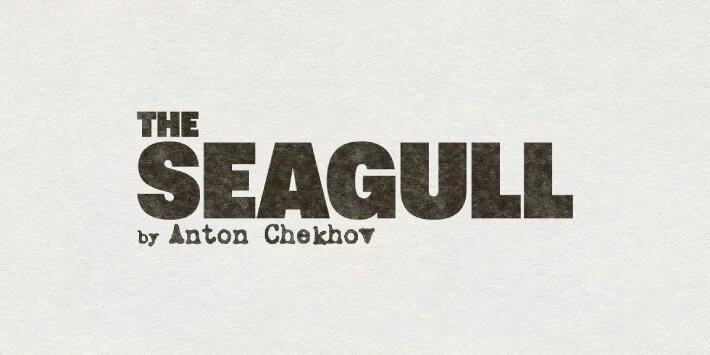 The Seagull hero image