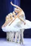 Varna International Ballet - Swan Lake