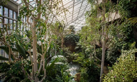 Barbican Centre Conservatory - Credit: Max Colson