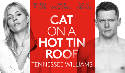 plot summary of cat on a hot tin roof