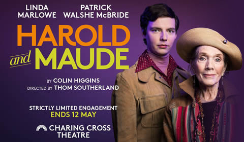 Harold and Maude hero image