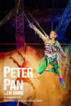 Peter Pan Logo Small