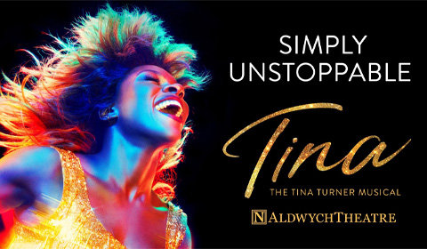 Tina: The Musical