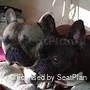 williama8