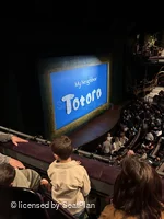 Gillian Lynne Theatre Circle B71 view from seat photo