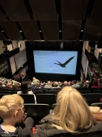 Sadler's Wells Second Circle M10 view from seat photo