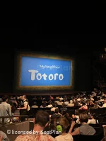 Gillian Lynne Theatre Stalls O53 view from seat photo