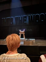 Bridge Theatre Stalls B14 view from seat photo