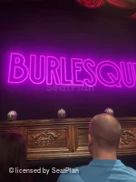 Savoy Theatre Stalls A13 view from seat photo