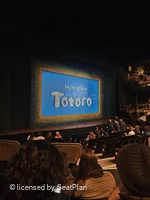 Gillian Lynne Theatre Stalls M55 view from seat photo