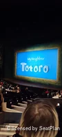 Gillian Lynne Theatre Stalls N24 view from seat photo
