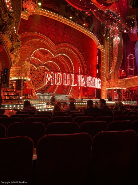 Al Hirschfeld Theatre Seating Chart Moulin