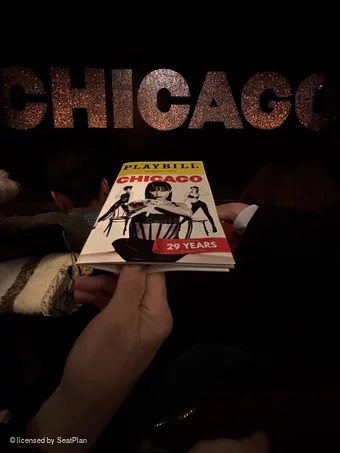 Ambassador Theatre Orchestra CC106 view from seat photo