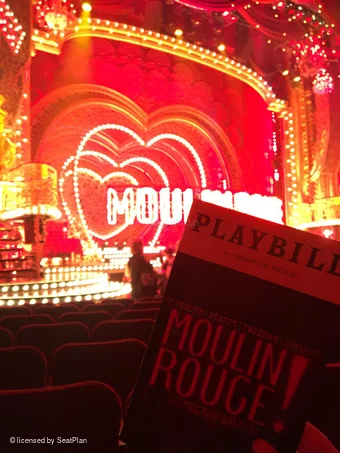 Al Hirschfeld Theatre Orchestra M13 view from seat photo