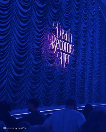 Lunt-Fontanne Theatre Orchestra E9 view from seat photo