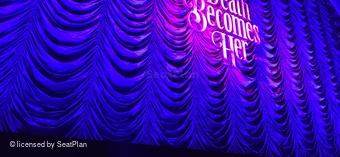 Lunt-Fontanne Theatre Orchestra A101 view from seat photo